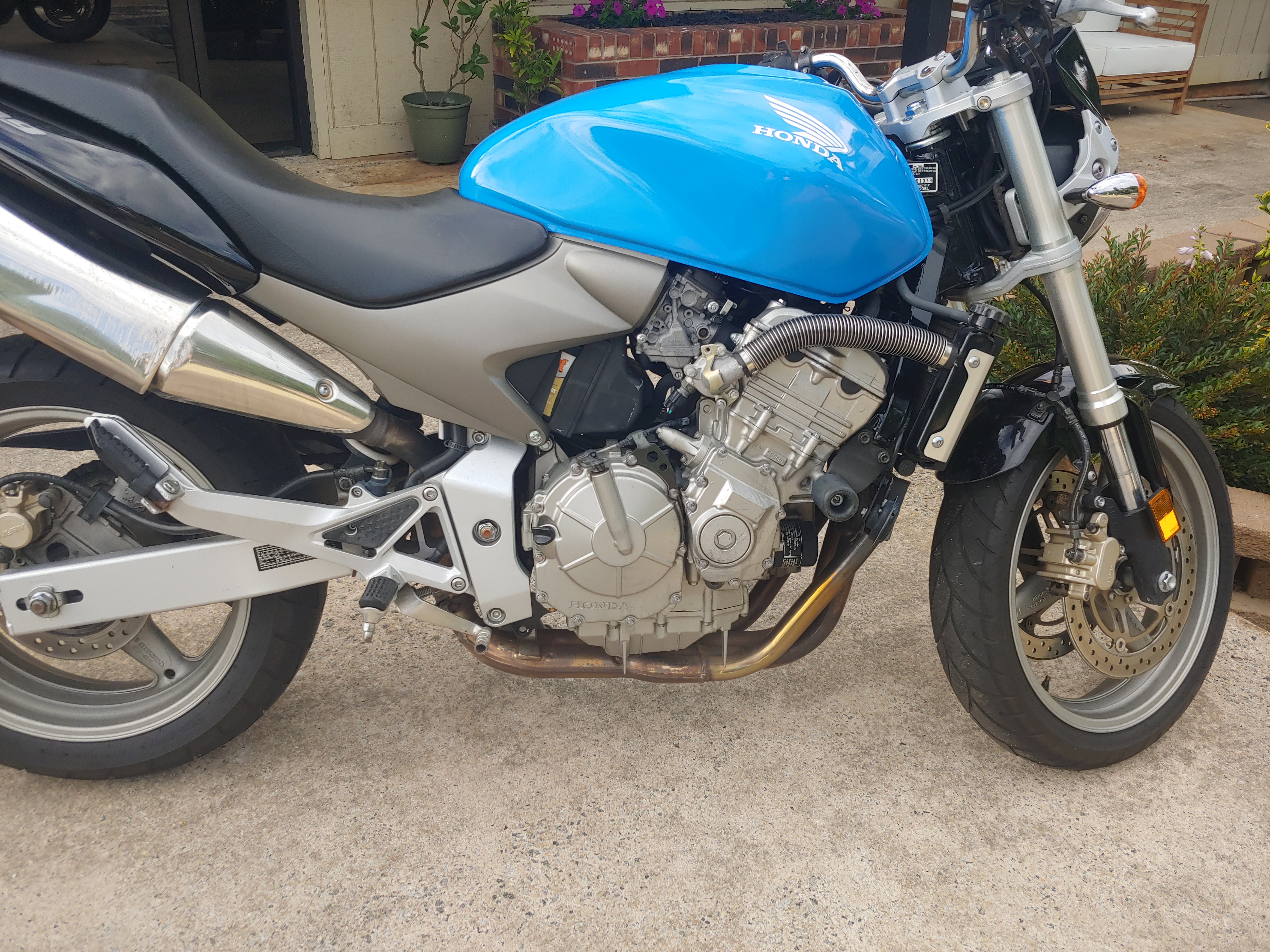 2006 Honda 599 Miami Blue